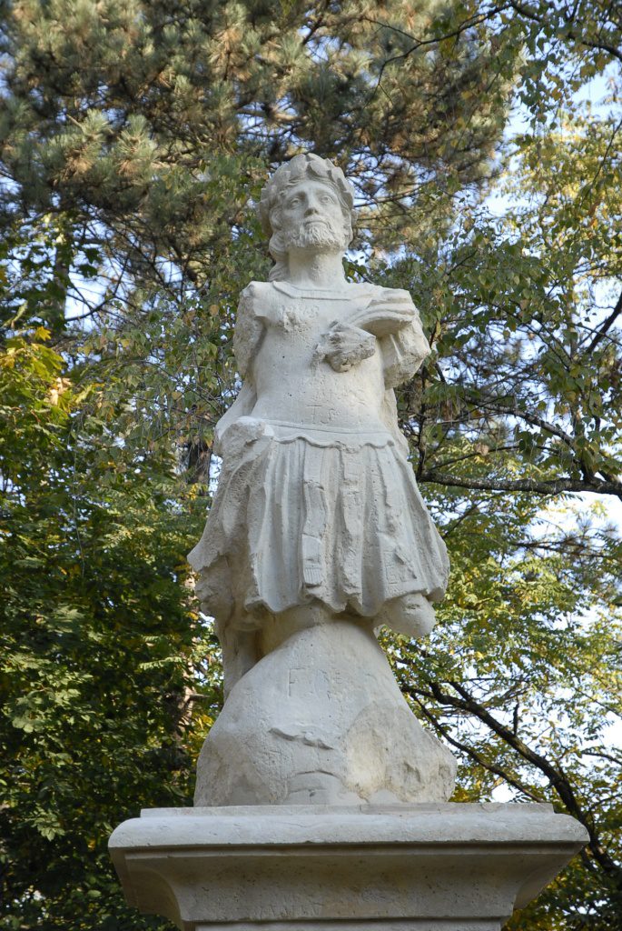_dsc0785