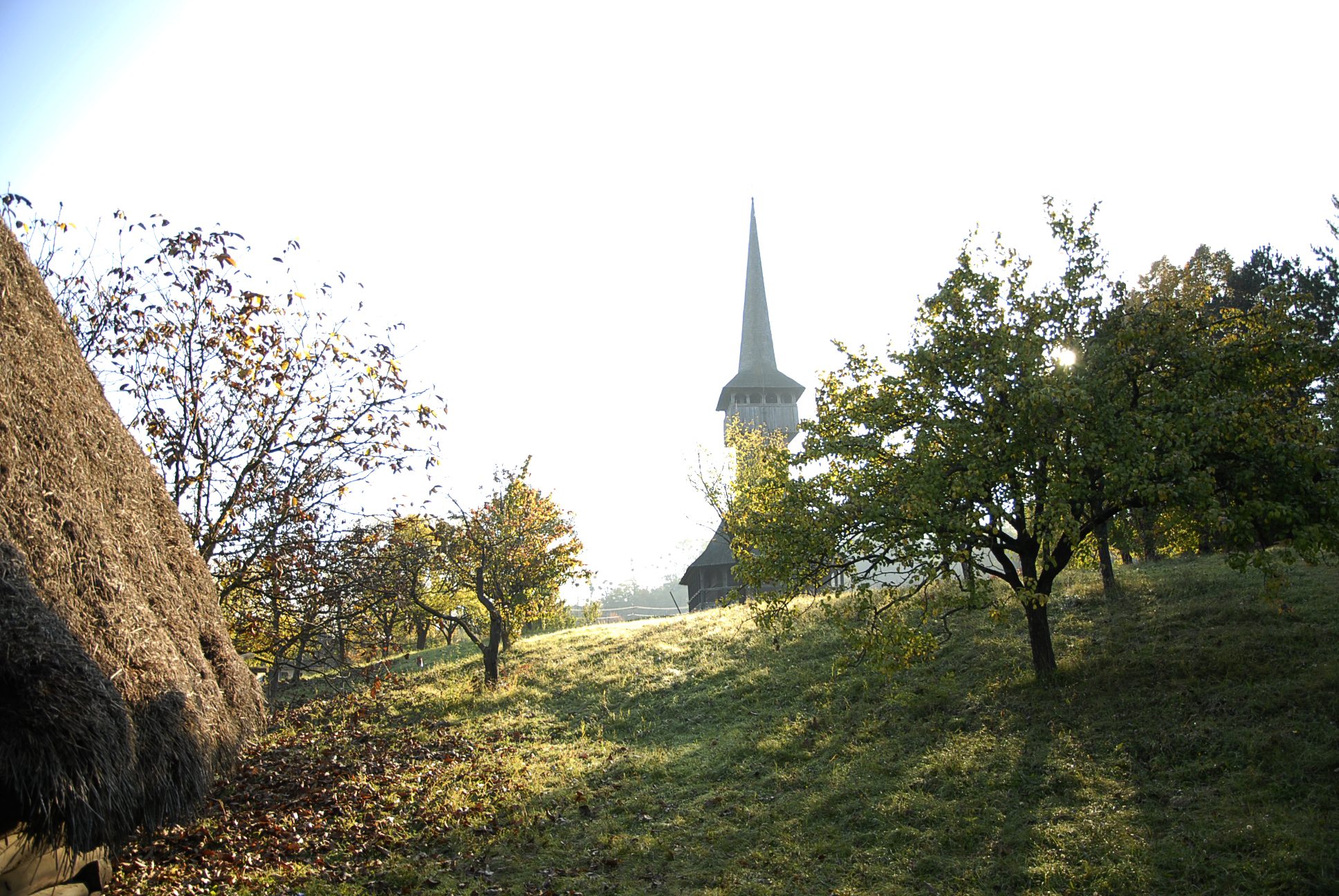 _dsc0800