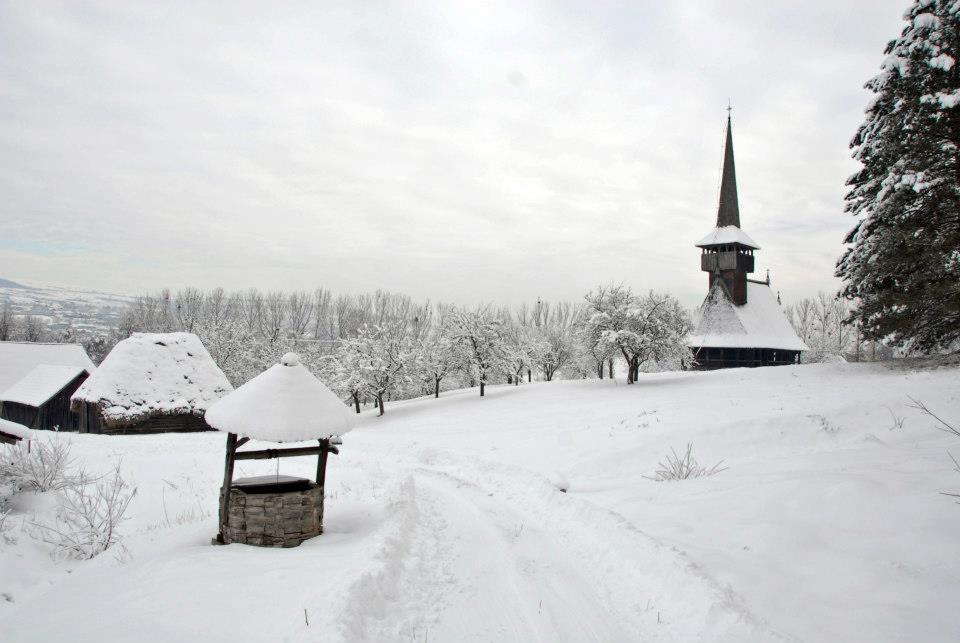 foto_hoia_iarna