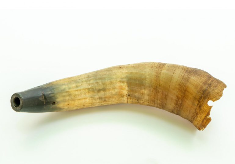 corn_pentru_scos_porcii