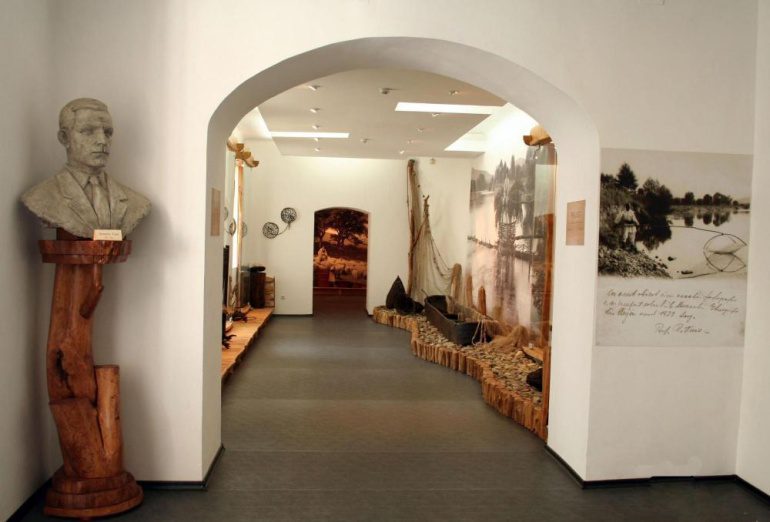 foto_intrare_expo_pavilionara_10_0_1_0