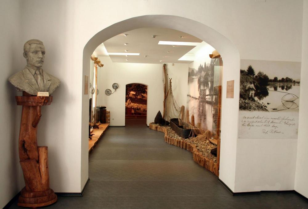 foto_intrare_expo_pavilionara_10_0_1_0