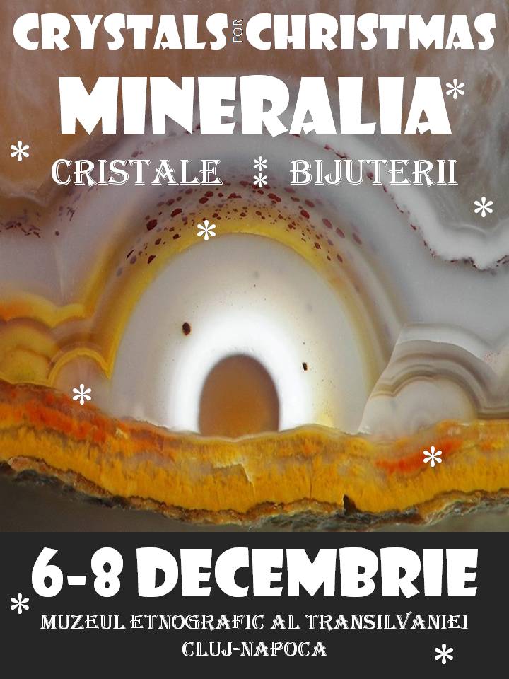 cluj_6-8_decembrie